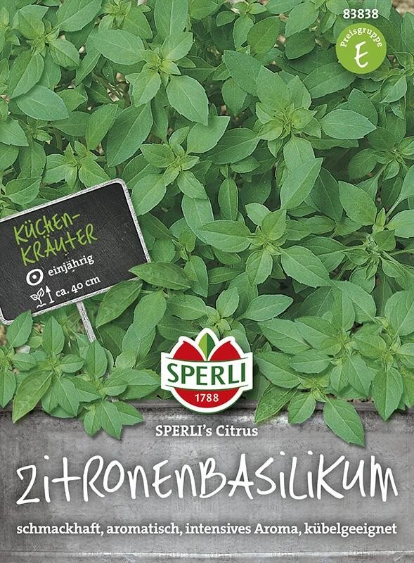 Basilikum Zitronen, SPERLING´s Citrus 4 Basilikum Zitronen, SPERLING´s Citrus – Bild 2