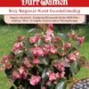 Benarys BIG-Begonie Rosa Dunkellaubig -Erden & Dünger Verkäufe benarys big begonie rosa dunkellaubig