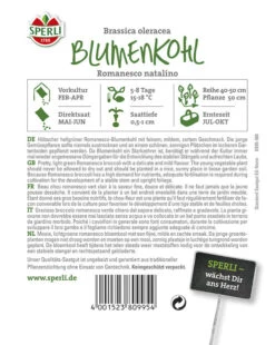 Blumenkohl Romanesco Natalino