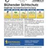 Blumenmischung Blühender Sichtschutz | Für Ca. 6 Lfd. Meter | Einjährige Mischung -Erden & Dünger Verkäufe blumenmischung bluehender sichtschutz2