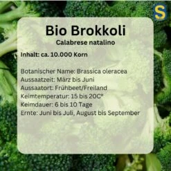 Brokkoli Calabrese Großpackung 50gr