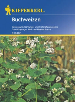 Buchweizen Gründünger Portion 50g, Vor- Und Nachkultur Für Alle Gemüsearten (vorfruchtneutral)