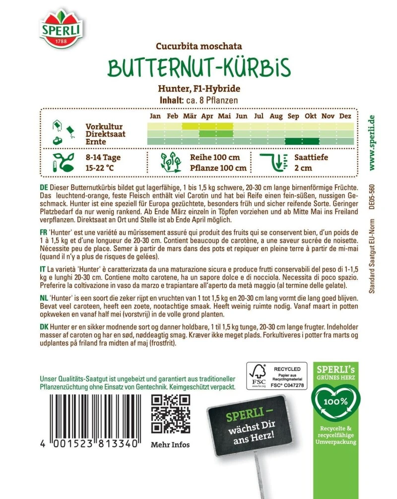 Butternutkürbis Hunter F1, Sicher Reifend, Geschmack: Nussig-süß, Wenig Rankend 3 Butternutkürbis Hunter F1, Sicher Reifend, Geschmack: Nussig-süß, Wenig Rankend