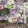Eisenkraut Duftmix, Begeistert Jeden Und Versprüht Einen Herrlich Sommerlichen Duft -Erden & Dünger Verkäufe eisenkraut duftmix