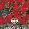 Feuersalbei Salvia Splendens Carrabiniere
