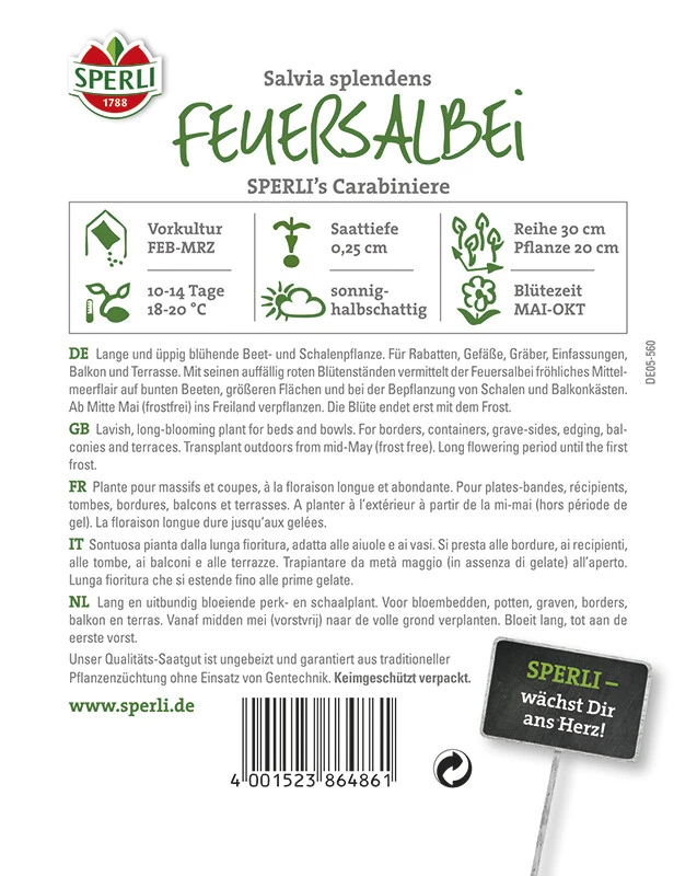 Feuersalbei Salvia Splendens Carrabiniere 4 Feuersalbei Salvia Splendens Carrabiniere – Bild 2