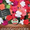Fleißiges Lieschen Leuchtfeuer, Resistent Gegen Falschen Mehltau, Ideal Für Kübel Und Hochbeete -Erden & Dünger Verkäufe fleissiges lieschen leuchtfeuer