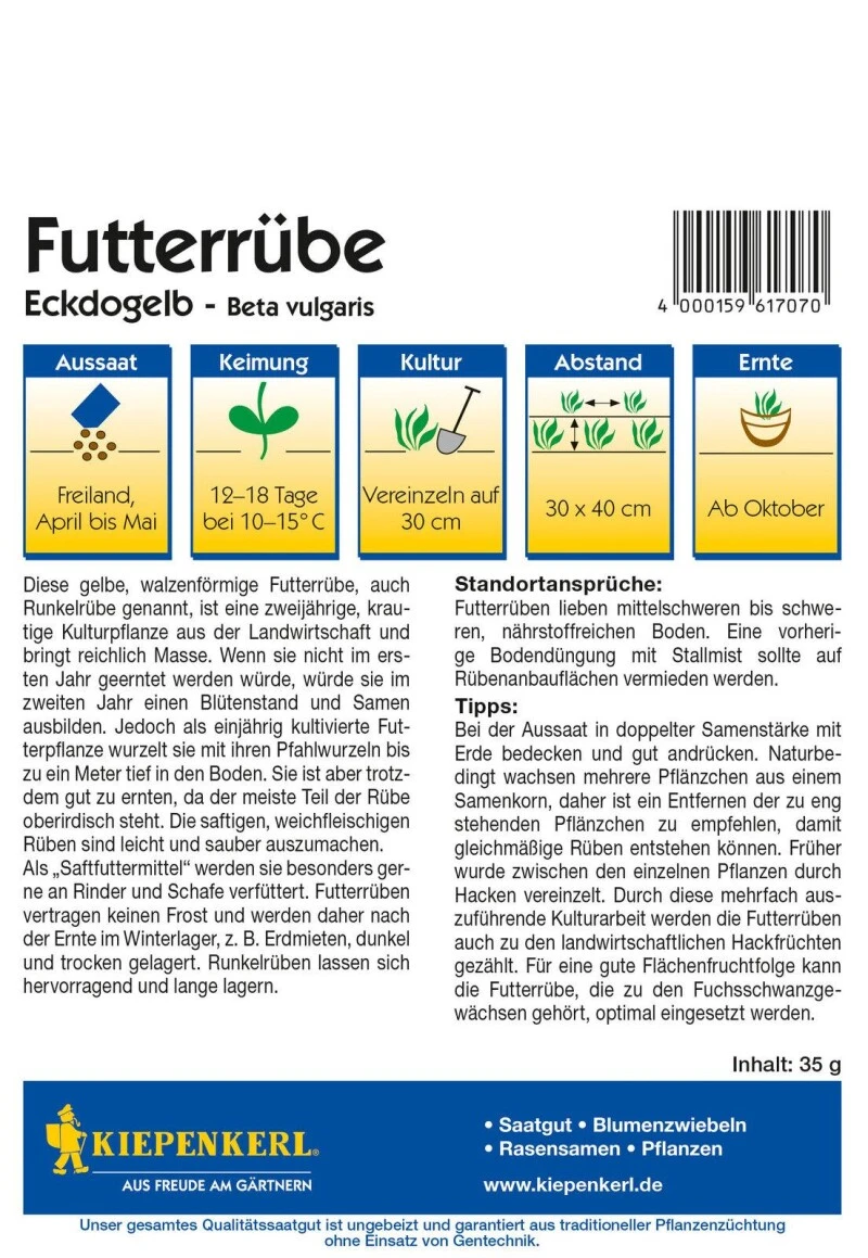 Futterrübe Eckdogelb 35g Vorteilspack, Walzenförmige Runkelrübe Mit Reichlich Masse 3 Futterrübe Eckdogelb 35g Vorteilspack, Walzenförmige Runkelrübe Mit Reichlich Masse
