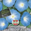 Kaiserwinde Sperli´s Blaue Königin 1 Kaiserwinde Sperli´s Blaue Königin -Erden & Dünger Verkäufe kaiserwinde sperlis blaue koenigin