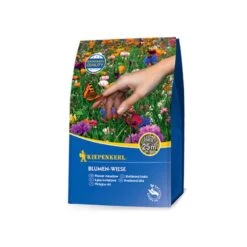 Kiepenkerl Blumen-Wiese Rasenmischung