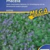 Phacelia Bienenweide Gründünger 50g - 2kg, Für 15 - 500 M², Insektenmagnet -Erden & Dünger Verkäufe kiepenkerl phacelia vari