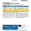 Kirsch-Tomate Ampelo Gelb® (Donna Yellow, F1), Ampeltomate Bringt Kleine, Sehr Süße Früchte -Erden & Dünger Verkäufe kirsch tomate ampelo gelb2