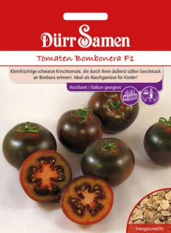 Kirsch-Tomaten Bombonera F1, Kleinfrüchtige Schwarze Kirschtomate, Ideales Naschgemüse