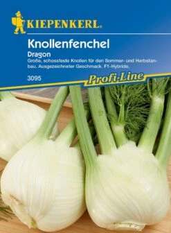 Knollenfenchel Dragon F1, Große Schossfeste Knollen Für Den Sommer- Und Herbstanbau, Ausgezeichneter Geschmack