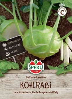 Kohlrabi Delikateß Weißer, Zartfleischig, Bewährte Sorte, Lange Erntefähig, Saatgut Von Sperli -Erden & Dünger Verkäufe kohlrabi delikatess weiss
