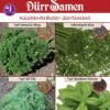 Küchenkräutersortiment Für Balkon Und Terrasse -Erden & Dünger Verkäufe kuechenkraeutersortiment fuer balkon und terrasse