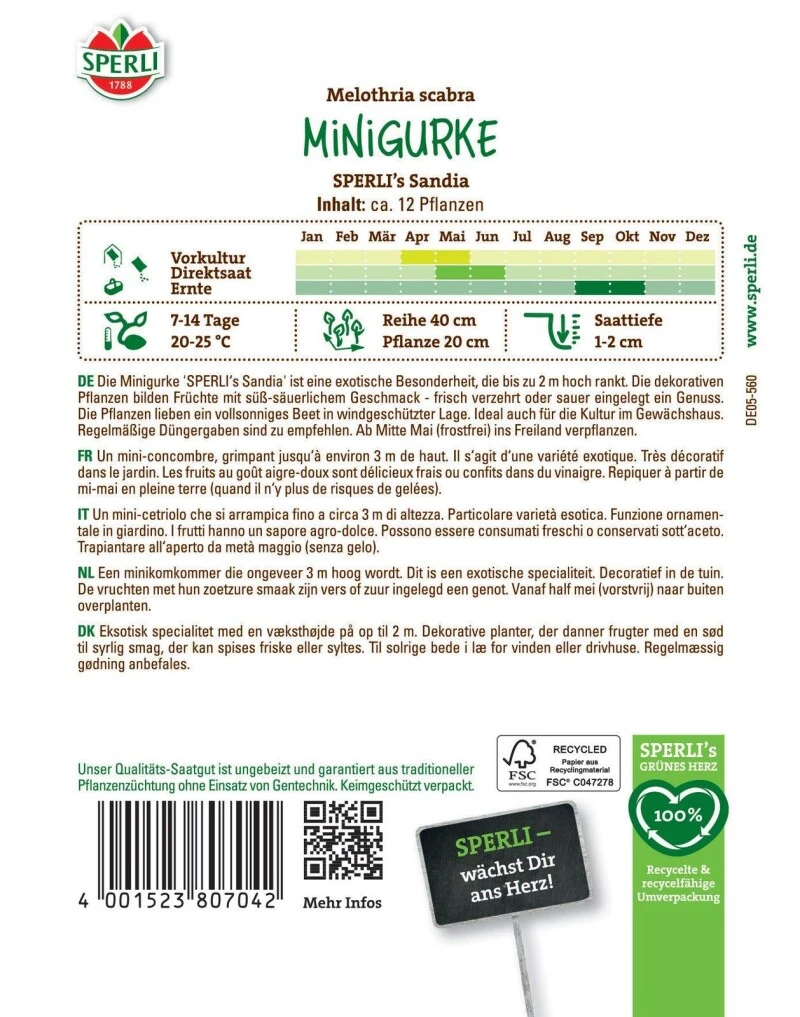 Minigurke SPERLI's Sandia, Snackgurke, Für Gewächshaus Und Freiland, Saatgut Von Sperli 3 Minigurke SPERLI's Sandia, Snackgurke, Für Gewächshaus Und Freiland, Saatgut Von Sperli