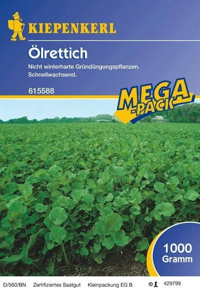 Ölrettich Gründünger 1kg 3 Ölrettich Gründünger 1kg