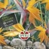 Paradiesvogelblume Strelitzia ReginaeSperling`s Papagei -Erden & Dünger Verkäufe paradiesvogelblume strelitzia reginae sperlings papagei