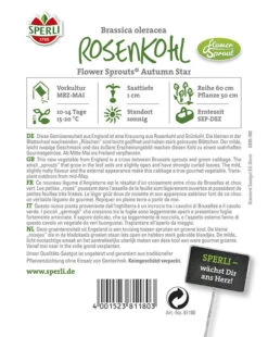 Rosenkohl Flower Sprout Autumn Star