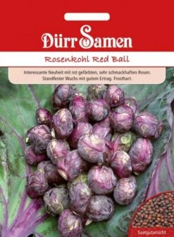 Rosenkohl Red Ball