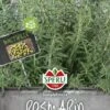 Rosmarin SimplyHerbs Multipille -Erden & Dünger Verkäufe rosmarin simplyherbs multipille
