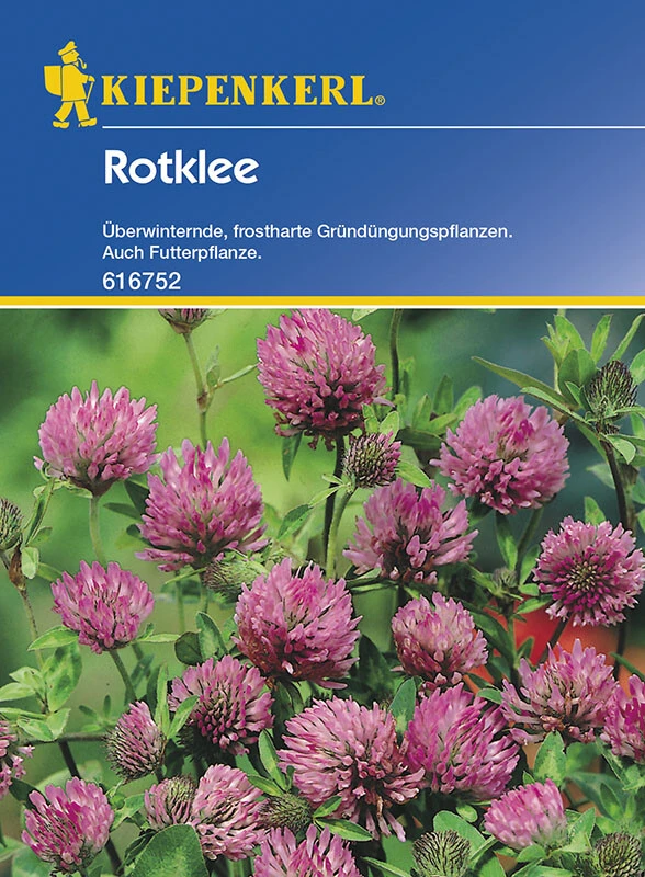 Rotklee Gründünger | Portion 50 G Für 20 M² | Altbewährte Gründüngungspflanze 3 Rotklee Gründünger | Portion 50 G Für 20 M² | Altbewährte Gründüngungspflanze