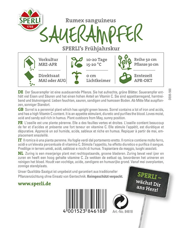 Sauerampfer SPERLING´s Frühjahrskur 3 Sauerampfer SPERLING´s Frühjahrskur