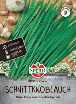 Schnittknoblauch SPERLI's Knolau, Mehrjährig, Kübelgeeignet Für Mehrfache Ernte, Sperli