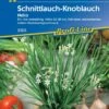 Schnittlauch-Knoblauch Neko, Ein Bis Mehrjährig, Aromatisch Mild Im Geschmack, Kiepenkerl -Erden & Dünger Verkäufe schnittlauch knoblauch neko