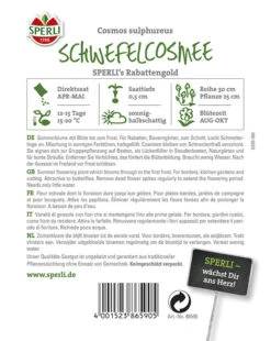 Schwefelkosmee SPERLI´s Rabattengold | Ideal Als Hintergrundpflanzen In Beeten Oder Bauerngärten