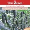 Snackgurken Hopeline F1 (Treibgurke/ Hausgurke), Knackig Geschmackvoll Und Widerstandsfähig 1 Snackgurken Hopeline F1 (Treibgurke/ Hausgurke), Knackig Geschmackvoll Und Widerstandsfähig -Erden & Dünger Verkäufe snackgurken hopeline f1