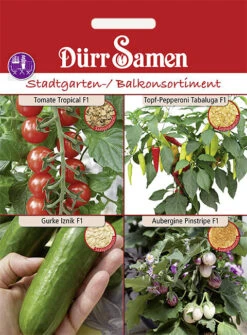 Stadtgarten-/ Balkonsortiment Verschiedener Fruchtgemüse