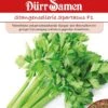 Stangensellerie Spartacus F1 Apium Graveolens -Erden & Dünger Verkäufe stangensellerie spartacus f1 apium graveolens