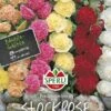 Stockrose Prachtmischung -Erden & Dünger Verkäufe stockrose prachtmischung