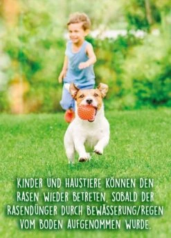 Substral Herbst Rasendünger, 12,5kg Für 500qm, Kaliumreicher Spezial-Rasendünger Mit Lang Anhaltender Wirkung -Erden & Dünger Verkäufe substral herbst rasenduenger kaliumreicher spezial rasenduenger mit lang anhaltender wirkung4