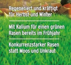 Substral Herbst Rasendünger, 12,5kg Für 500qm, Kaliumreicher Spezial-Rasendünger Mit Lang Anhaltender Wirkung -Erden & Dünger Verkäufe substral herbst rasenduenger kaliumreicher spezial rasenduenger mit lang anhaltender wirkung6