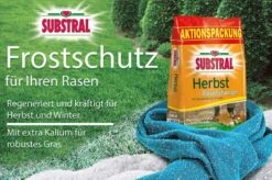 Substral Herbst Rasendünger, 12,5kg Für 500qm, Kaliumreicher Spezial-Rasendünger Mit Lang Anhaltender Wirkung -Erden & Dünger Verkäufe substral herbst rasenduenger kaliumreicher spezial rasenduenger mit lang anhaltender wirkung7