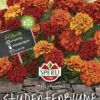 Tagetes Sperli's Feuerball Studentenblume 1 Tagetes Sperli's Feuerball Studentenblume -Erden & Dünger Verkäufe tagetes sperlis feuerball studentenblume