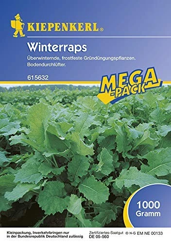 Winterraps Gründünger 1kg 3 Winterraps Gründünger 1kg