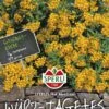 Würz- Tagetes SPERLING´s Hot Mexican -Erden & Dünger Verkäufe wuerz tagetes sperlings hot mexican