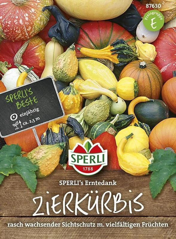 Zierkürbis SPERLI´s Erntedank, Mischung Aus Groß- Und Kleinfallenden Früchten 4 Zierkürbis SPERLI´s Erntedank, Mischung Aus Groß- Und Kleinfallenden Früchten – Bild 2