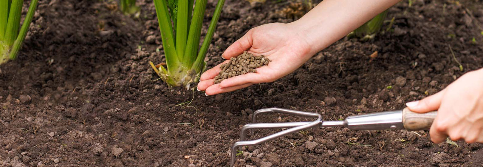 Titelseite -Erden & Dünger Verkäufe Header duenger