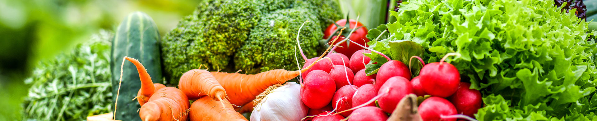 Titelseite -Erden & Dünger Verkäufe gartenversand gemuesemischung samen kaufen