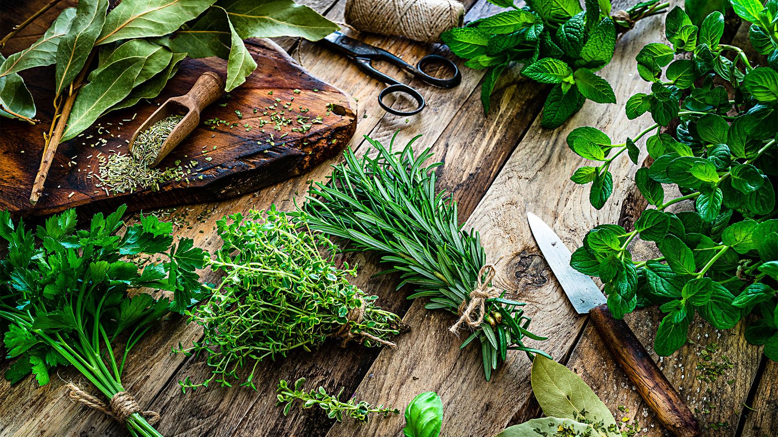 Titelseite -Erden & Dünger Verkäufe original